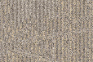 Ковровая плитка Milliken Arctic Survey shk 121-48 True North фото  | FLOORDEALER